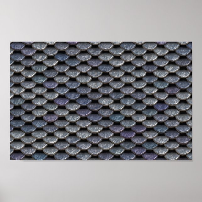 Affiche Plaques d'armure en métal (Devant)