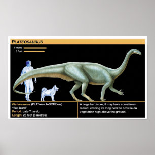 Affiche Plateosaurus - Biologie Jurassique