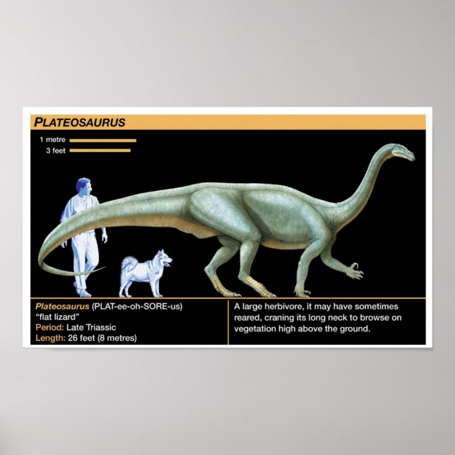 Affiche Plateosaurus - Biology Jurassic (Devant)