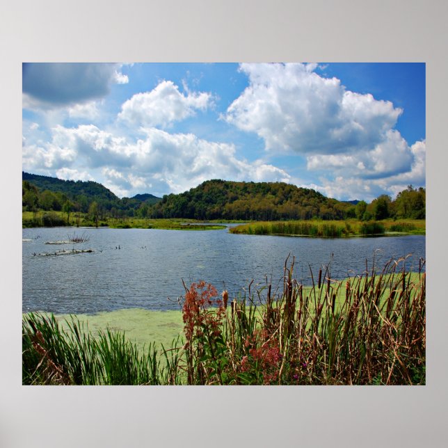 Affiche Pleasant Creek (Devant)