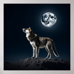 Affiche Pleine lune brillant sur le loup
