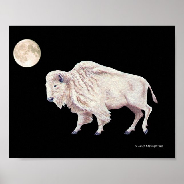 Affiche Pleine lune de vache à bison blanc (Devant)