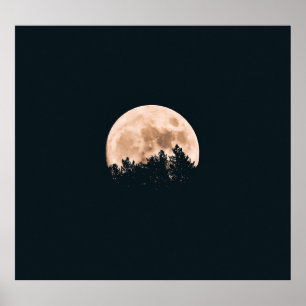 AFFICHE PLEINE LUNE DERRIÈRE UN ARBRE SILHOUETTES