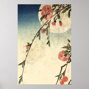 Affiche Pleine lune Fleurs roses Art Vintage