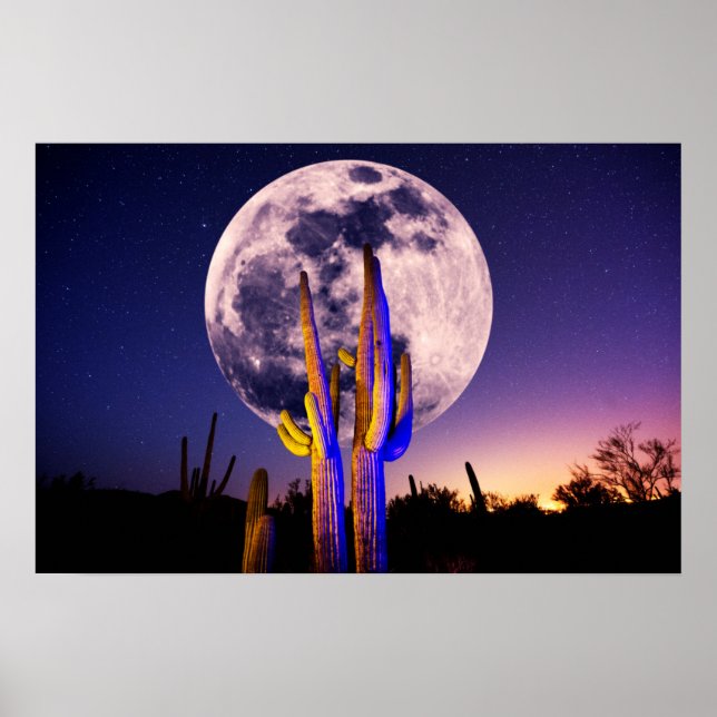 Affiche Pleine lune sur Saguaro Cactus (Devant)