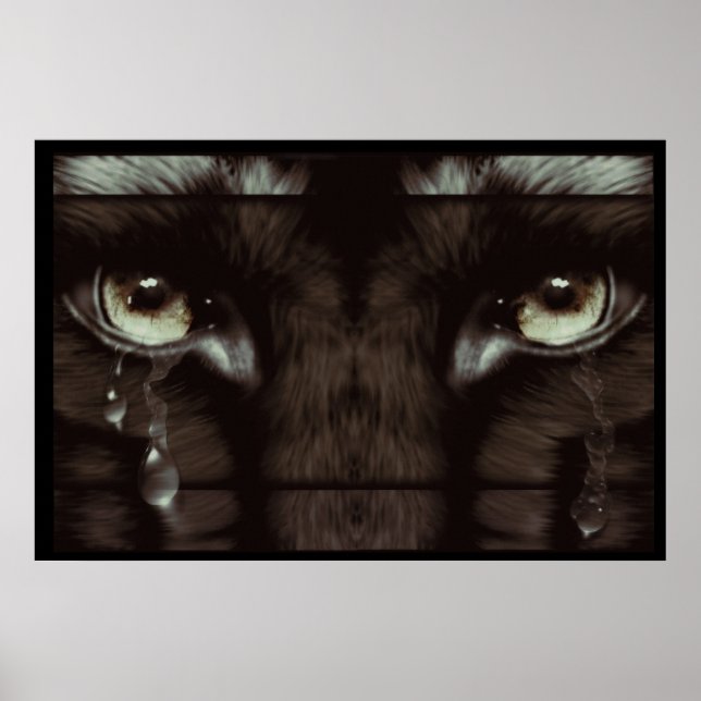 Affiche Pleure sur le loup (Devant)