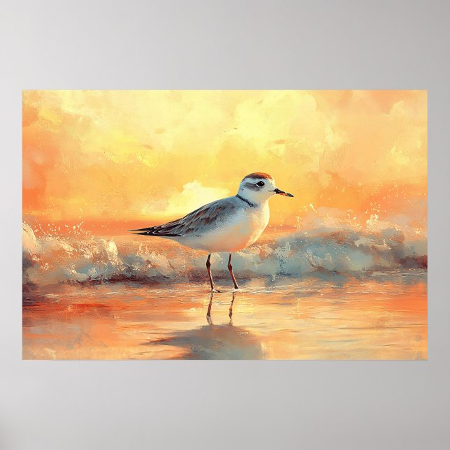 Affiche Plover Standing in Ocean Waves During Sunset (Devant)