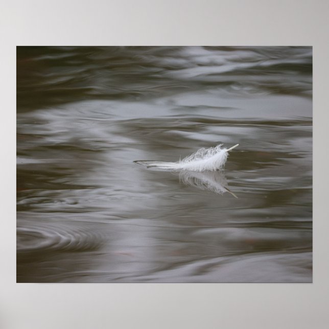 Affiche plume sur l'eau (Devant)