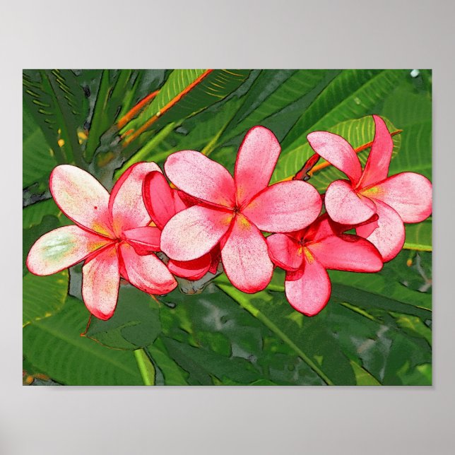 Affiche Plumeria (Devant)
