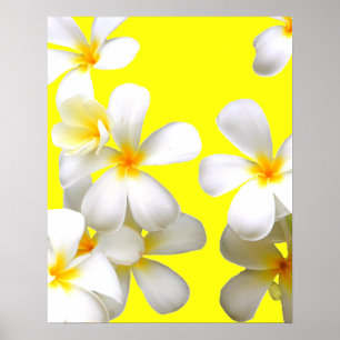 Affiche Plumeria blanche hawaïenne jaune fleur