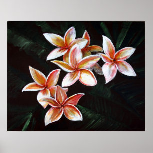 Affiche Plumeria bronzage