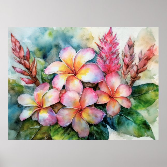 Affiche Plumeria hawaïenne et gingembre rose (Devant)