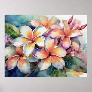 Affiche Plumeria rose hawaïenne