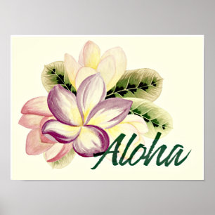 Affiche Plumeria vintage Aloha