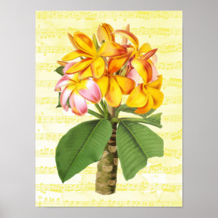 Affiche Plumeria vintage sur la musique