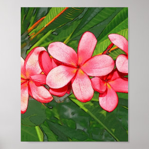 Affiche Plumerias