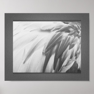 Affiche Plumes de Flamant rose monochrome Art imprimable