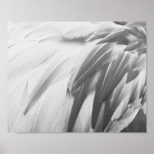 Affiche Plumes de Flamant rose monochrome Art imprimable