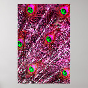 Affiche Plumes de paon rouge plumage de couleur