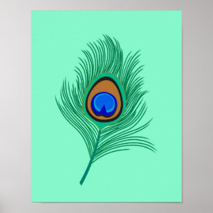 Affiche Plumes de paon turquoise sur Aqua clair