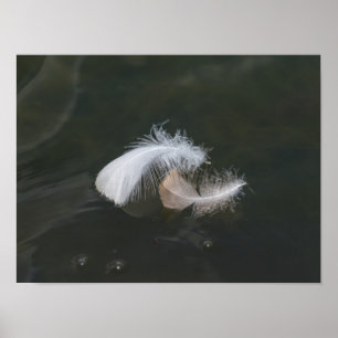 Affiche Plumes d'oie flottantes