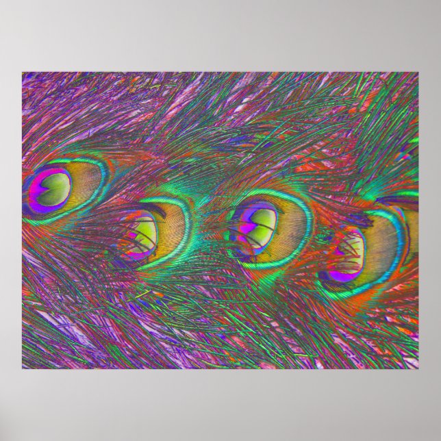 Affiche Plumes Peacock Tinsel de Noël (Devant)