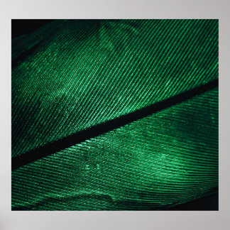 Affiche Plumes Vertes, Belle Texture Motif.