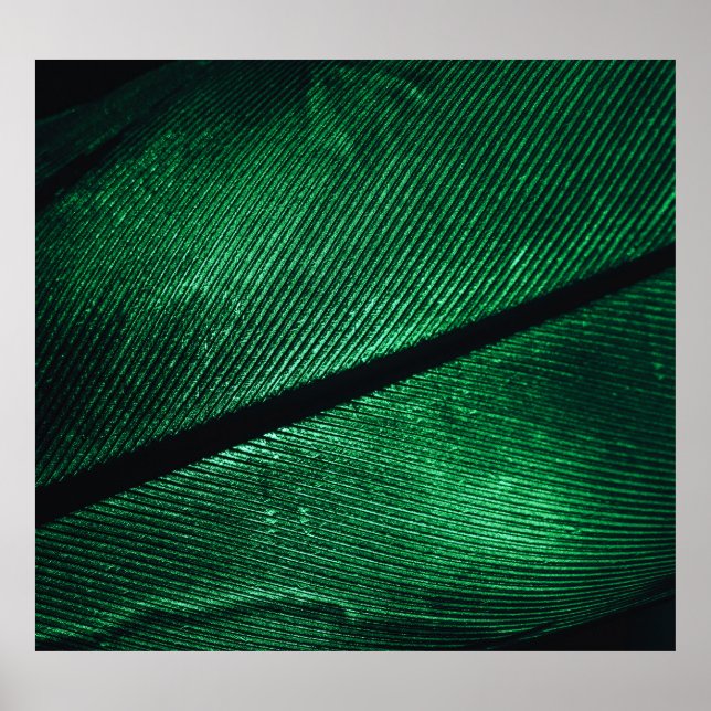 Affiche Plumes Vertes, Belle Texture Motif. (Devant)