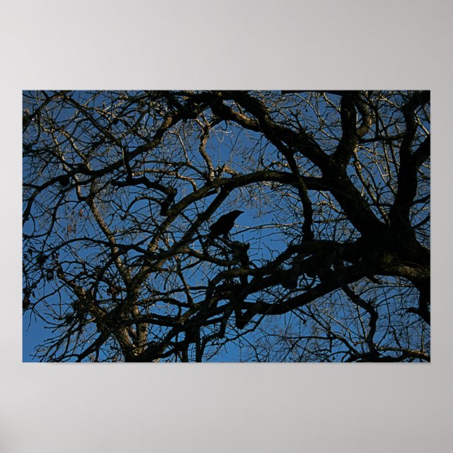 Affiche Plus (Devant)