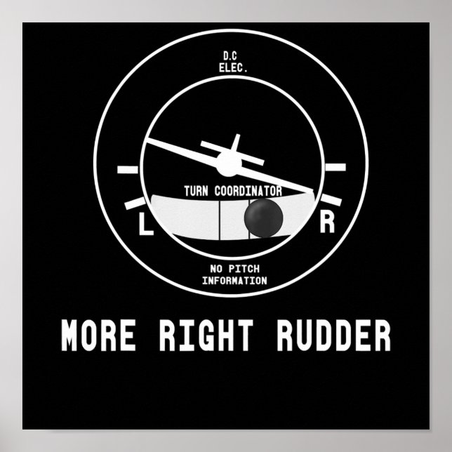 Affiche Plus Droit Pilote Cfi instructeur de vol Cadeau pi (Devant)