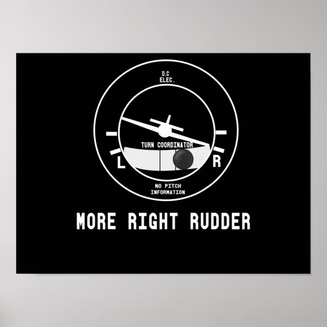 Affiche Plus Droit Pilote Cfi instructeur de vol Cadeau pi (Devant)