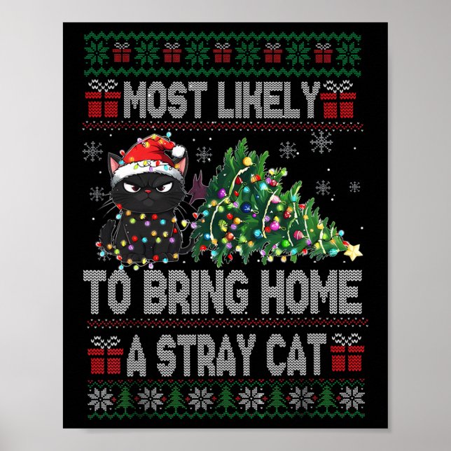 Affiche Plus susceptible de ramener à la maison un chat er (Devant)