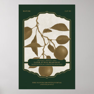 AFFICHE PLUS TARD, IL PORTERA DES FRUITS