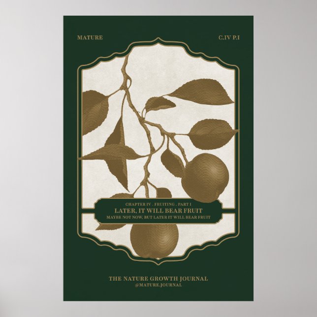 AFFICHE PLUS TARD, IL PORTERA DES FRUITS (Devant)