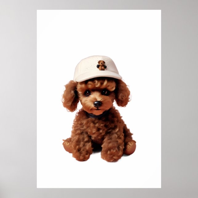 Affiche Plush Chocolate Mini Poodle Folder (Devant)