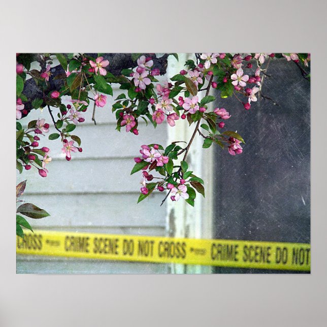 Affiche Plutôt moche (Devant)