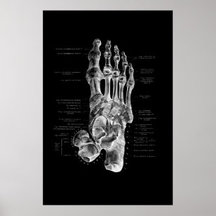 Affiche Podiatriste d'anatomie de pied Décor Médicale