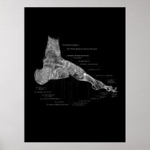 Affiche Podiatriste de pied Anatomie cadeau Décor Médicale