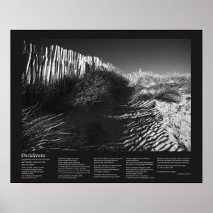 Affiche Poème Desiderata - Escrime Dans Les Dunes, Art