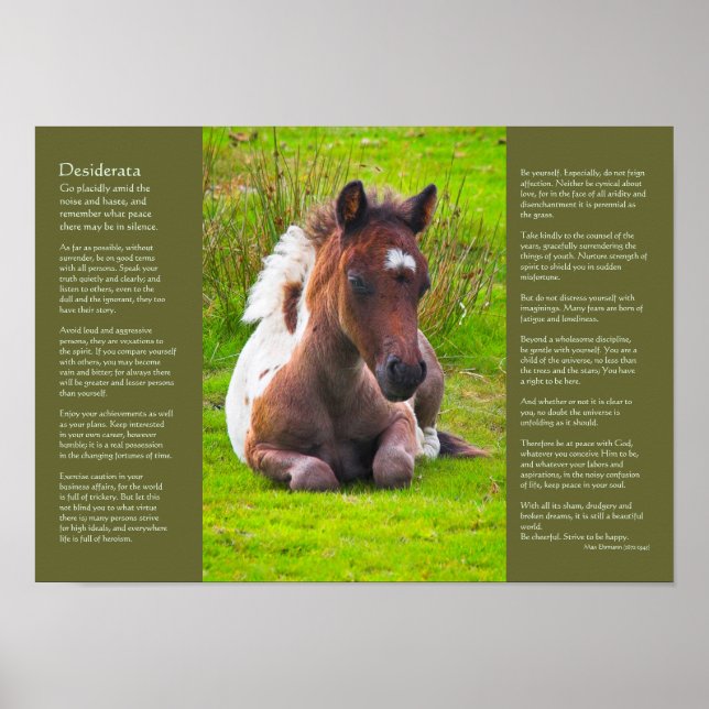Affiche Poème Desiderata - Foie Dartmoor Pony (Devant)