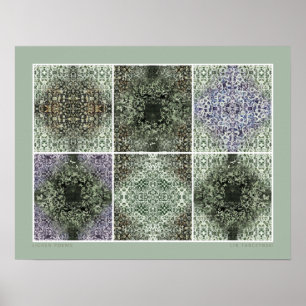 Affiche Poèmes Lichen