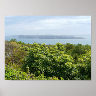 Affiche point de vue sur la baie de sydney depuis manly