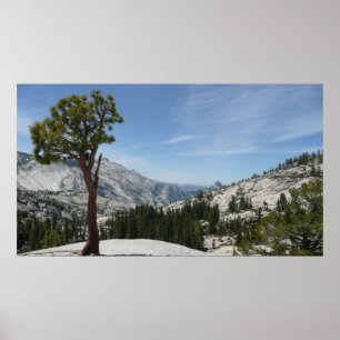 Affiche Point I d'Olmsted au parc national Yosemite