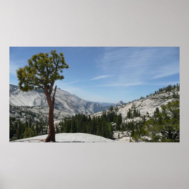 Affiche Point I d'Olmsted au parc national Yosemite (Devant)