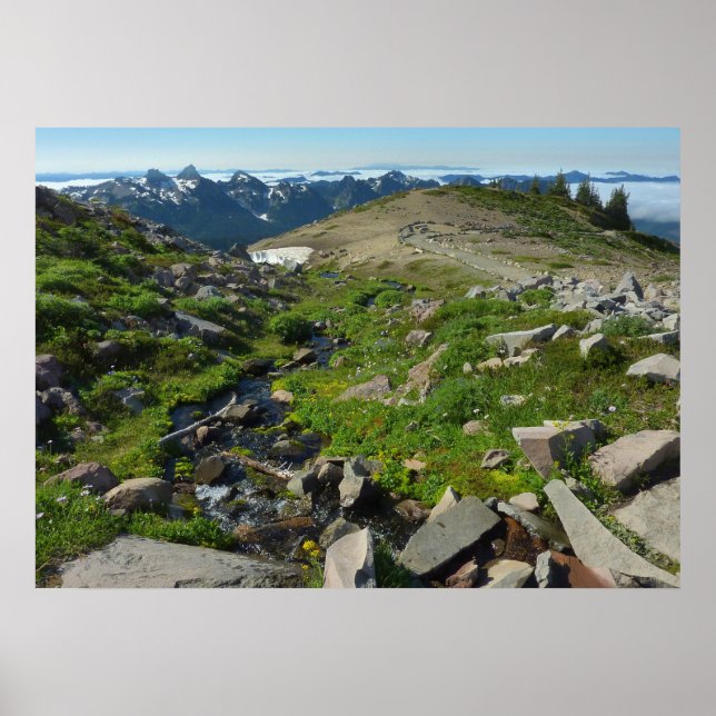 Affiche Point panorama du mont Rainier (Devant)