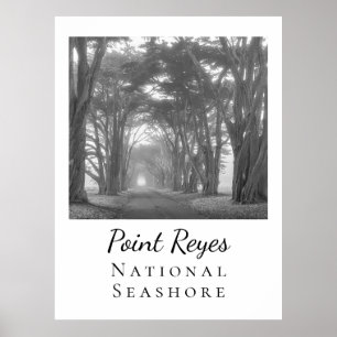 Affiche Point Reyes