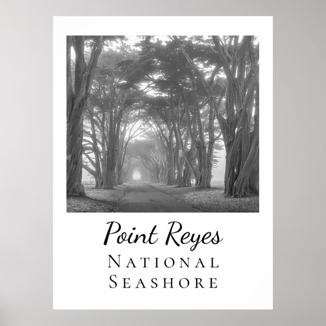Affiche Point Reyes (Devant)