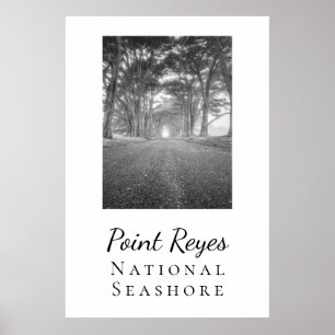 Affiche Point Reyes