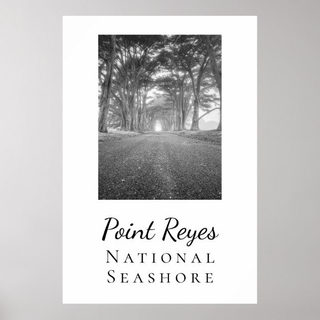 Affiche Point Reyes (Devant)