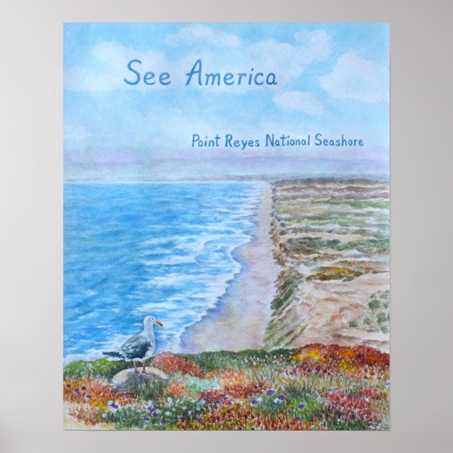 Affiche Point Reyes National Seashore (Devant)